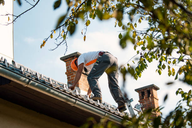 Best Roof Gutter Cleaning  in Briar, TX